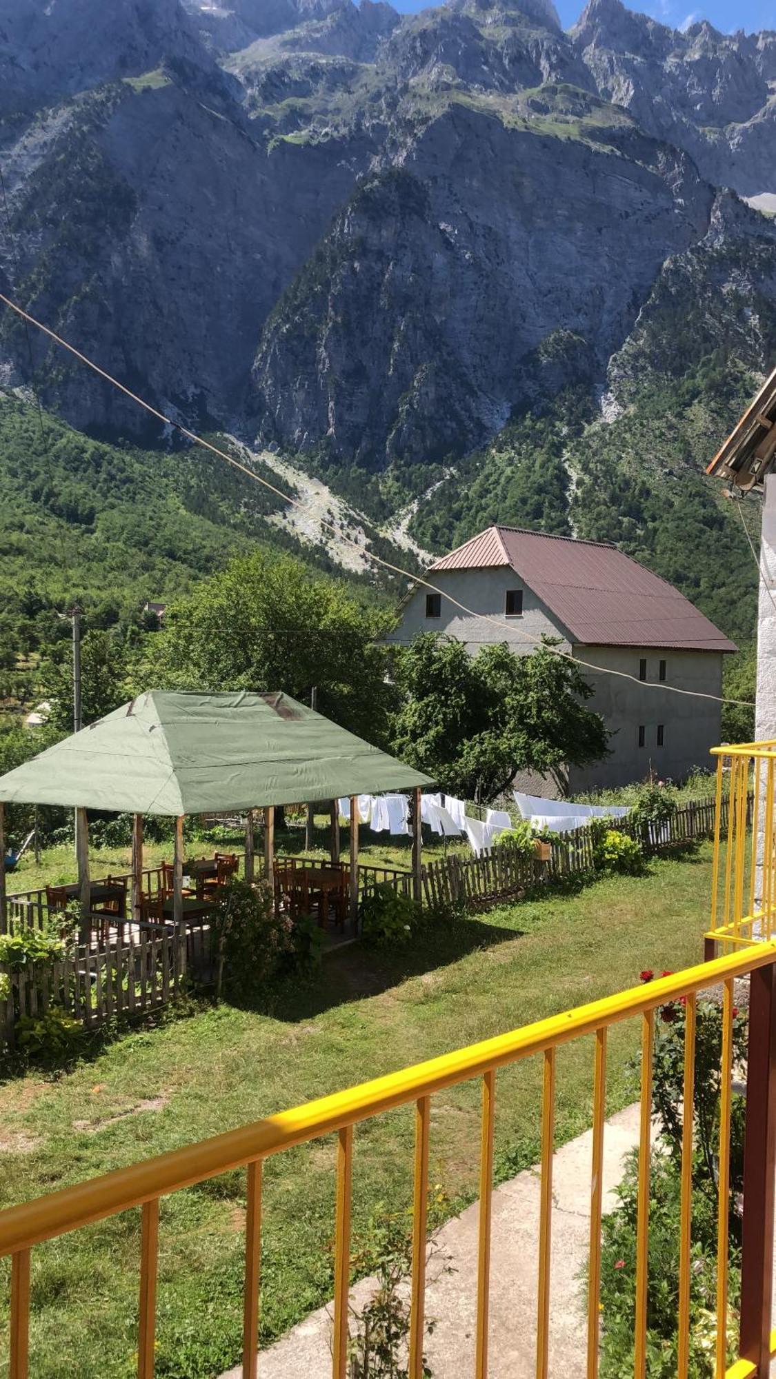 Bujtina Kometa Тети Экстерьер фото