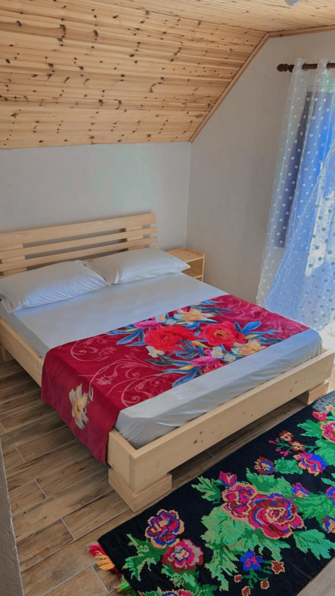 Bujtina Kometa Тети Экстерьер фото