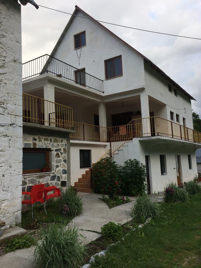 Bujtina Kometa Тети Экстерьер фото
