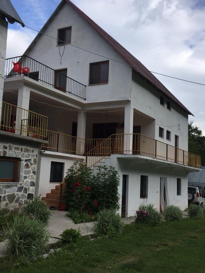 Bujtina Kometa Тети Экстерьер фото